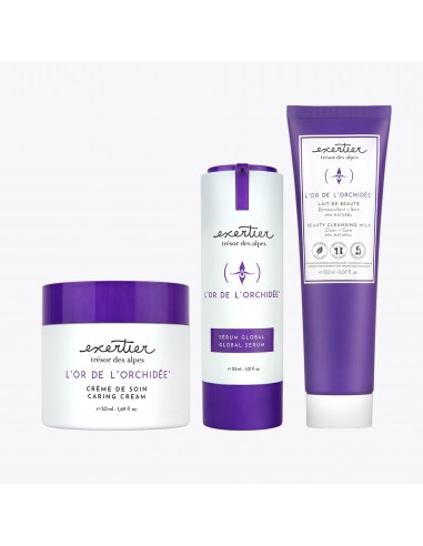 Kit - Routine French Aging Voir les baskets