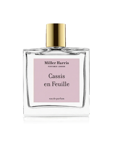 Cassis en Feuilles Le MVP de beaucoup